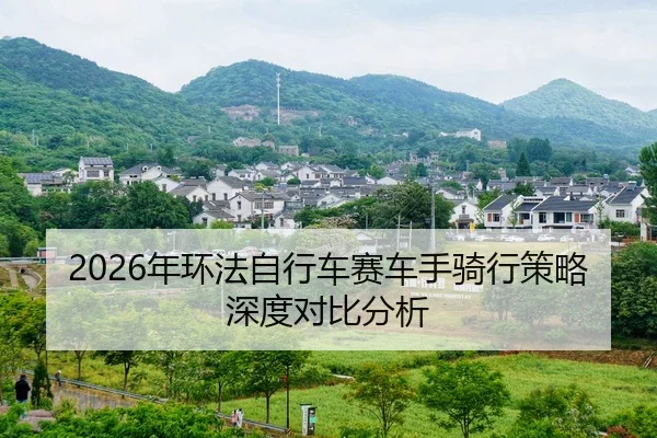 nian-huan-fa-zi-xing-che-sai-che-shou-qi-xing-ce-lve-shen-du-dui-bi-fen-xi-2-245.jpg