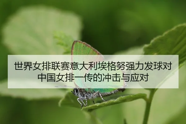 shi-jie-nv-pai-lian-sai-yi-da-li-ai-ge-nu-qiang-li-fa-qiu-dui-zhong-guo-nv-pai-yi-chuan-de-chong-ji-yu-ying-dui-3-147.jpg