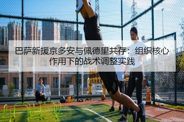 ba-sa-xin-yuan-jing-duo-an-yu-pei-de-li-gong-cun-zu-zhi-he-xin-zuo-yong-xia-de-zhan-shu-tiao-zheng-shi-jian-3-565.jpg